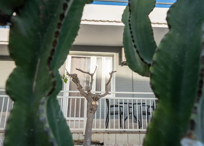 Bed and breakfast Achibea